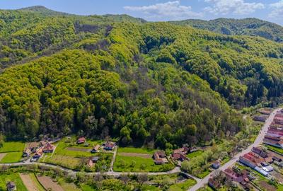 Teren extravilan/ 900 mp/ Comision 0 % - 1