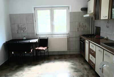 Colentina, Doamna Ghica, Parc Plumbuita, semistradal - 11