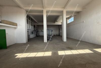 Hala 300 mp | Birouri + Vestiar | Acces auto | 3 intrari | Zona Lipovei - 21