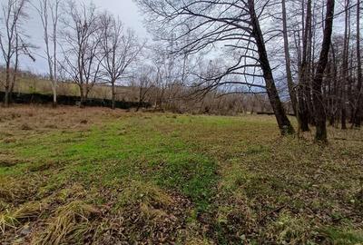 Resita, Teren Drept Intravilan, Langa Prau si Drum, Parcelabil, 4500 Mp., 15 Eur - 12