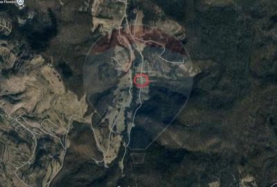 Teren 999 mp. Front 15,70 ml. Valea Garbaului - Floresti - 4