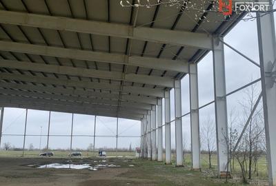 COMISION 0% Hala industriala 5500 mp utili zona de Nord Timisoara - ID V5143 - 4
