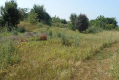 Proprietar vand teren de constructie in Voluntari-2515 mp- comision 0! - 3