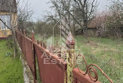 Casă unifamilială în Remetea Mare  cu teren de 3383 mp. - 8