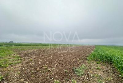 Teren extravilan de vanzare - Gura Raului - 1