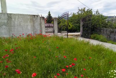 Casă de calitate la preț de apartament: 133 mp utili - 12