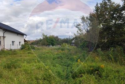Teren 1,100mp Sighetu Marmatiei / Strada Primăverii - 3