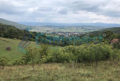 Teren intravilan de 1400 mp in Suncuius, de vanzare, Bihor - 4
