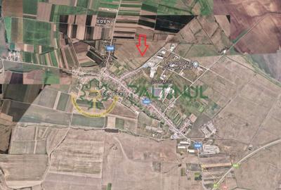 Teren de vanzare 6000 mp în Sibiu, Sura Mică - 7