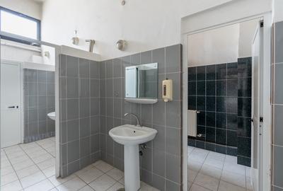Spatiu industrial/comercial P+1, 3400 mp utili, teren 4000 mp, Marasti - 17