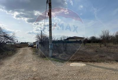 Vanzare Teren Izvorani / Strada Gradinarilor/Complex Olimpic - 12