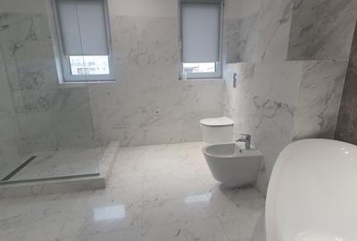 Inchiriere Penthouse 4 Camere Iancu Nicolae - 30