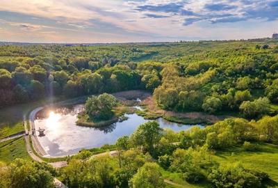 Teren Botanica Pacurari 772mp - 2