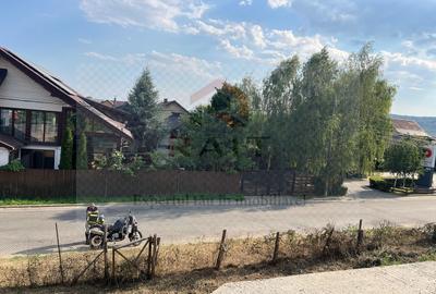 Constructie structura beton armat 810 MPC Curtea de Arges - 10