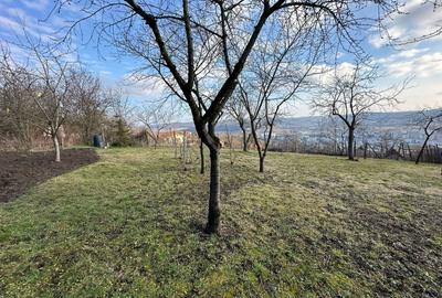 Vand Casa PLATOUL Cornesti str. CORNESTI- teren 1150 mp - 2