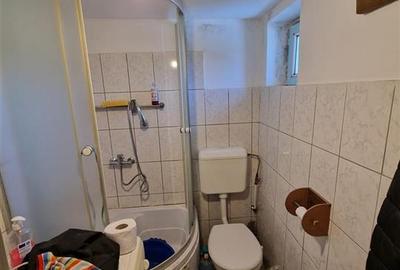 Teren mare cu 2 case in Sabolciu, com. Sacadat - 10