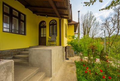 Provita de Sus, Prahova, Casa renovata, Comision 0 % - 19