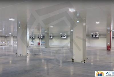 Hale de închiriat în Eli Park Bacău - 5