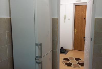 Apartament Dristor, stradal, 4 minute de metrou, mobilat si utilat complet - 11