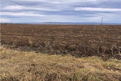 Teren pentru business 6300 MP Bucium la strada principala - 1