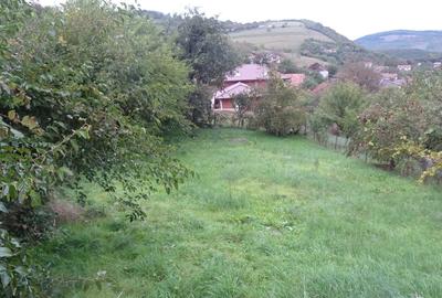 Vand teren intravilan in Deva, zona Viile Noi, suprafata totala 581 metri, - 1