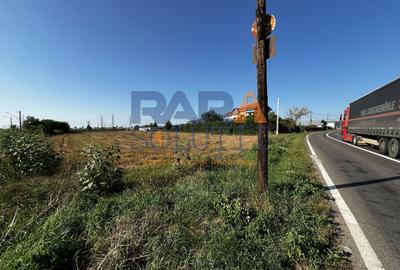 Teren între Cordun și E85 - 1