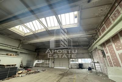 Hala industrial , 1400 mp , de inchiriat,  Buziasului, Timisoara. - 4