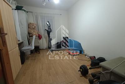 Casa individuala de vanzare Bogdanestilor Timisoara - 14