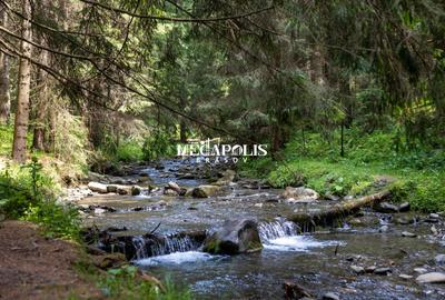 Teren intravilan | Moieciu de Sus | 12307 | PUZ - 15