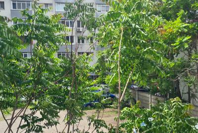 Apartament 2 camere Sala Palatului etajul 1/9 mobilat pentru birou sau nemobilat - 20