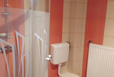 Casa P + Et + Mansarda | 6 camere | 3 bai | Garaj | parcare | 240 mp - 22