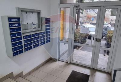 Apartament de inchiriat/2 camere/Banu Manta - 10