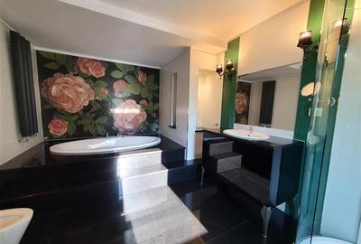 Ambasada SUA. Apartament 300mp, terasa 100mp, garaj. - 18