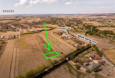 RECO Teren intravilan Tileagd 577 MP - 7