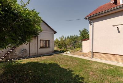 RECO Casa cu Atelier de lucru si teren mare - Santion - 43