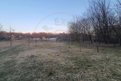 Teren intravilan pentru Casa de Vacanta - Mosoaia -Basangesti - 7