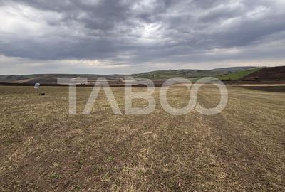Teren de vanzare Sura Mare 24000 mp OPORTUNITATE INVESTITIE - 4