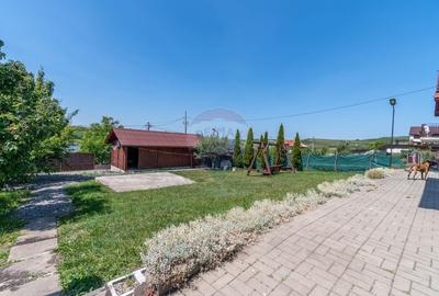 Casa de vanzare in Chinteni, 5 camere, mobilata, utilata, teren 756 mp - 29