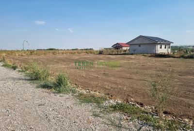 DN 4 Frumusani - Proprietar ofer spre vanzare teren 500 mp - 6
