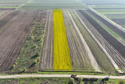 Teren 10.000 mp, parcelabil, ideal ansamblu case P+1 | Gulia - Dambovita - 5
