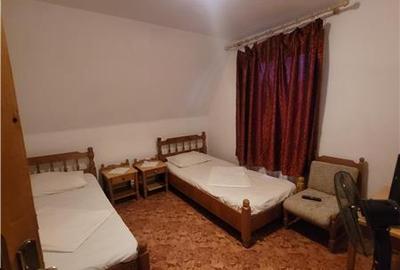 Pensiune cu Aspect Specific Maramuresean, Agigea - 12