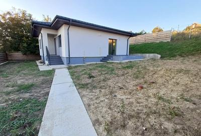 Casă parter, 3 camere, 818 mp teren, zona Valea Adanca - 3