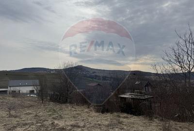 Teren intravilan 2307 mp în Salicea, zona premium, aproape de Cluj - 9