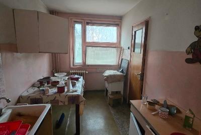 Apartament 3 camere renovabil în Aleea Barajul Bistriței - locație de vis! - 11