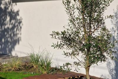 București Noii - Str Renașterii nr 29 imobil Boutique 2 camere pentru birou - 6