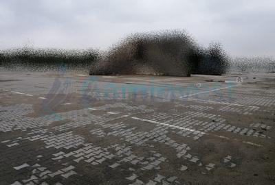 Teren cu platforma betonata si cladire de vanzare, Bihor - 4