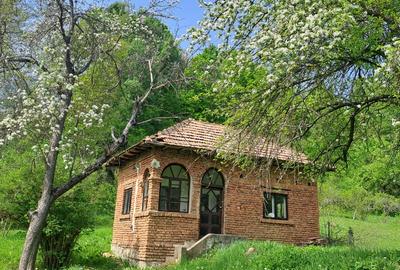 Teren Construcții intravilan de 3700 mp, în Valea lui Enache