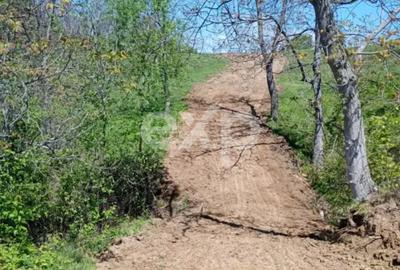 Vand Teren in Curtea de Arges suprafata 5000mp - 2