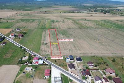 Teren in Golesti 9.848mp intravilan + extravilan  pret 6 euro / mp - 4