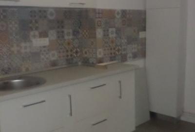 CASIN, AVERESCU, parter in VILA, LUX, nemobilat, utilat, curte mare, superb - 10
